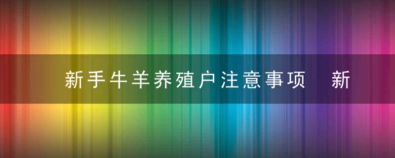 新手牛羊养殖户注意事项 新手牛羊养殖户注意事项是什么